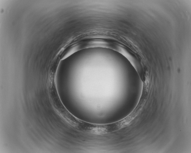 X0000086780168200704131223