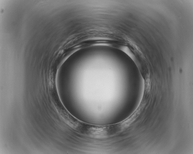 X0000086780170200704131223