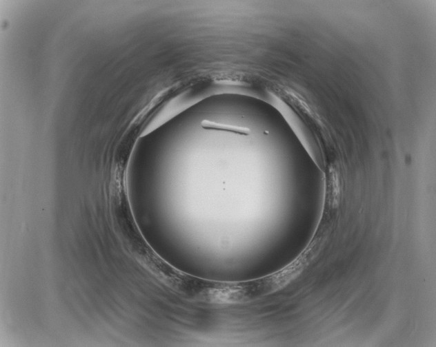 X0000086780172200704131223