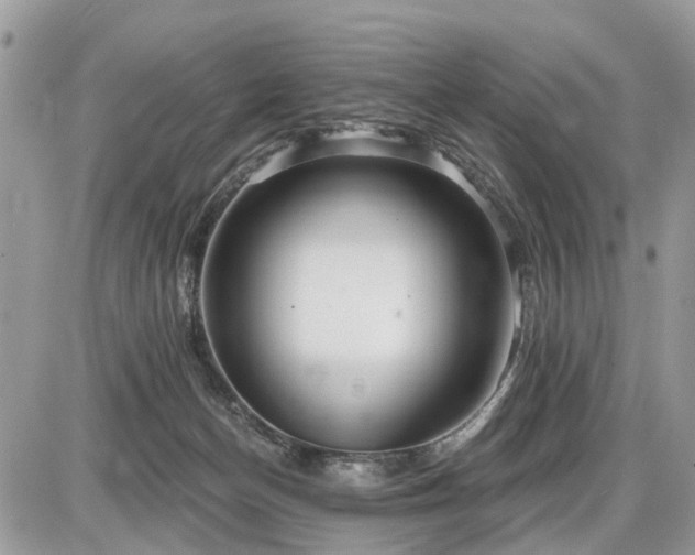 X0000086780174200704131223