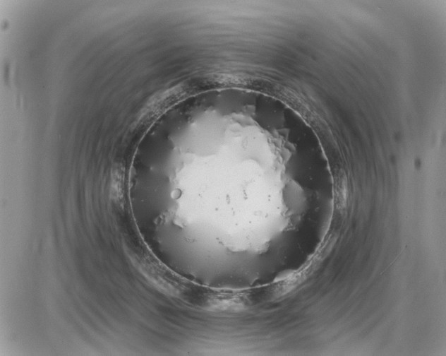 X0000086780175200704131223