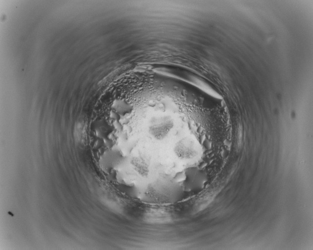 X0000086780177200704131223