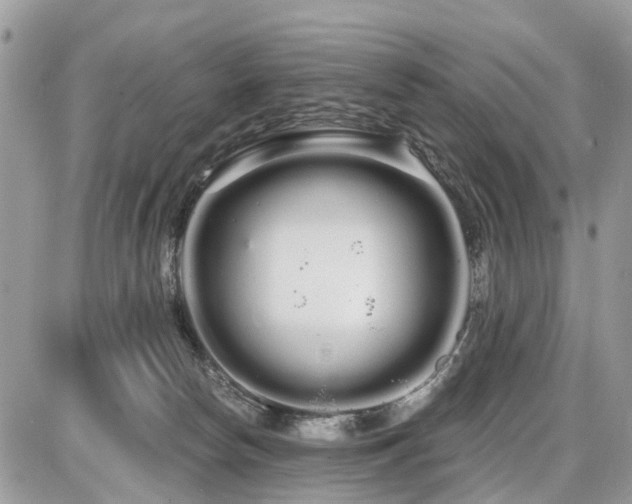 X0000086780178200704131223