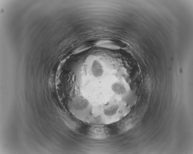 X0000086780181200704131224