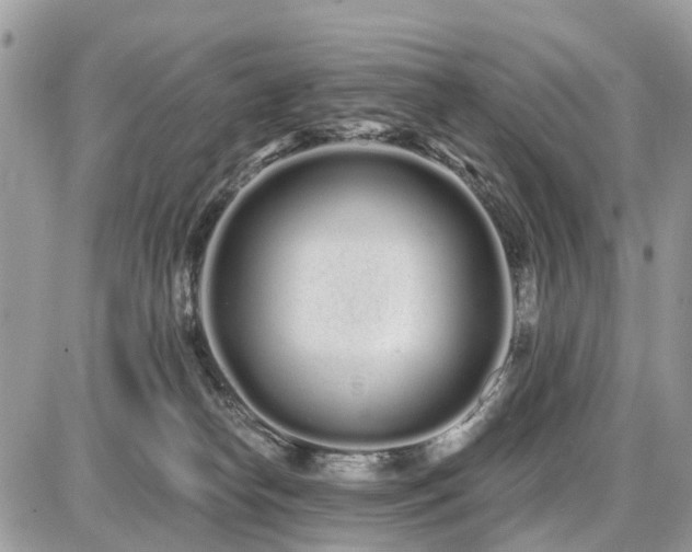 X0000086780182200704131224