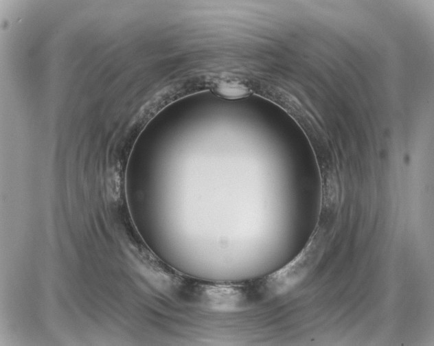 X0000086780183200704131224