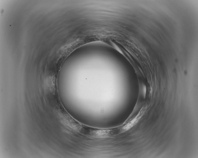 X0000086780184200704131224