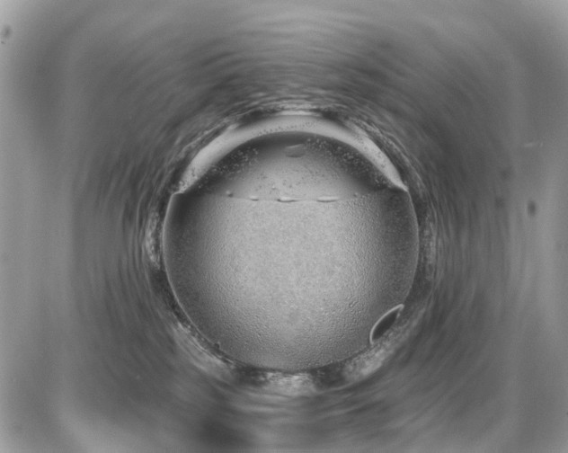 X0000086780185200704131224