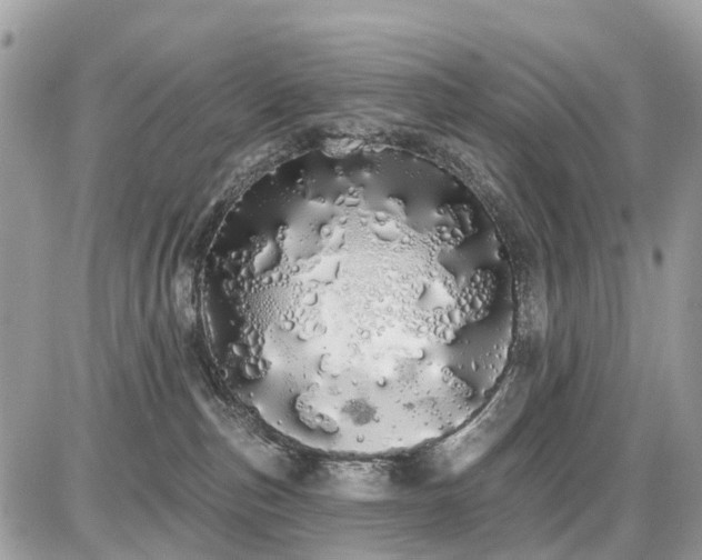 X0000086780187200704131224