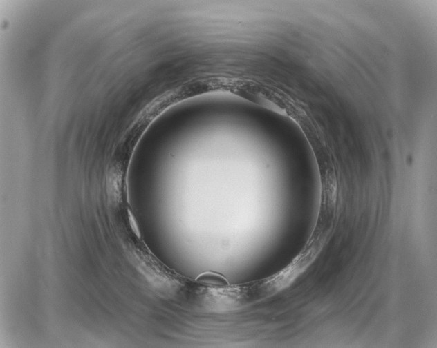 X0000086780188200704131224