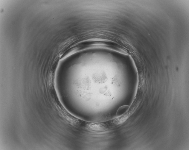 X0000086780189200704131224