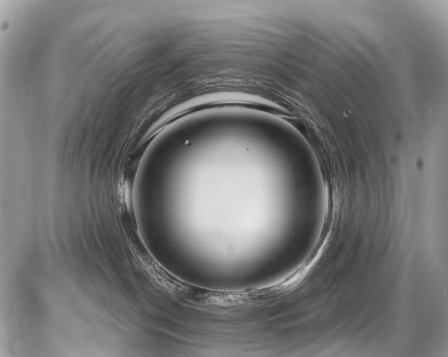 X0000086780190200704131224