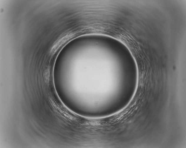 X0000086780194200704131223