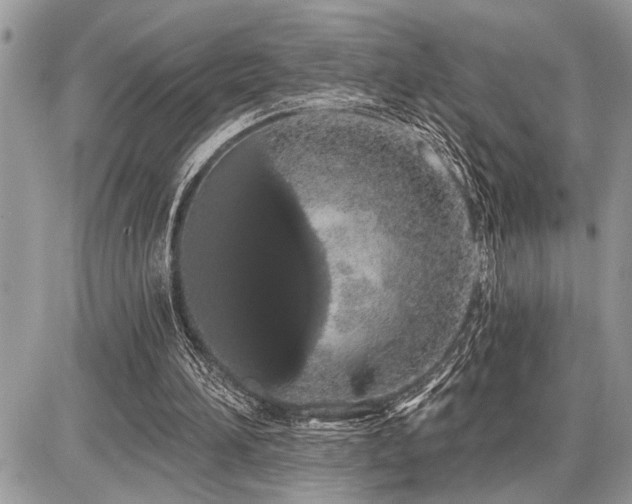 X0000086780196200704131223