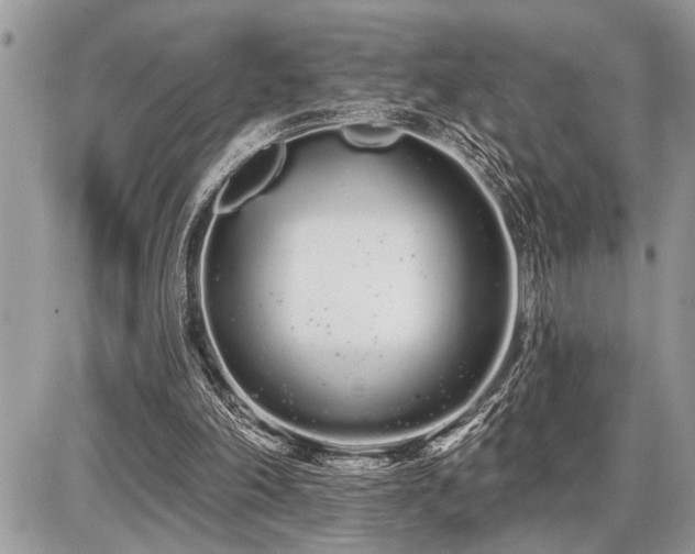 X0000086780198200704131223