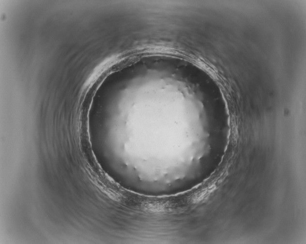 X0000086780199200704131223