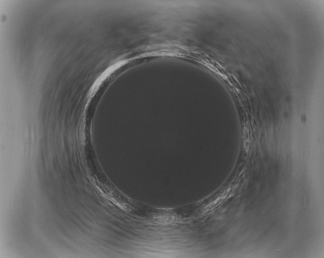 X0000086780200200704131223