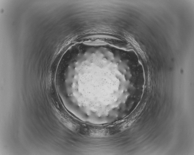 X0000086780202200704131223