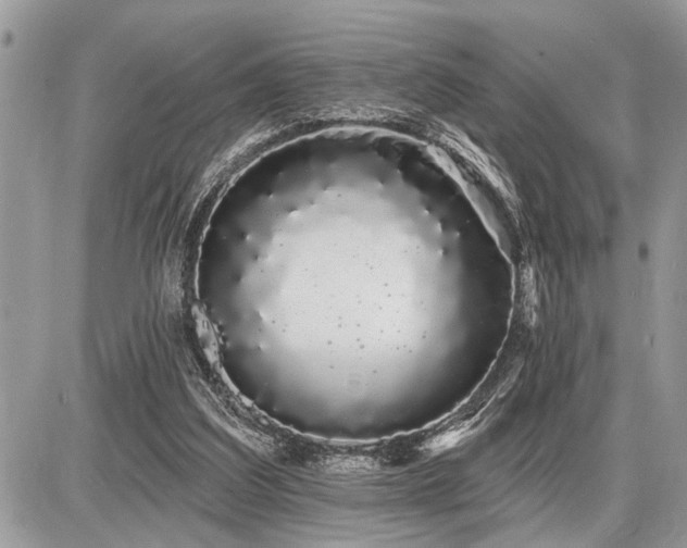 X0000086780203200704131223