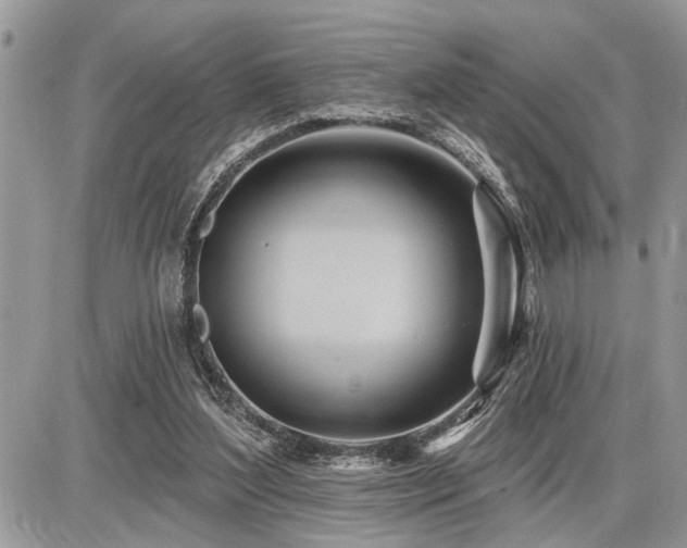 X0000086780204200704131223