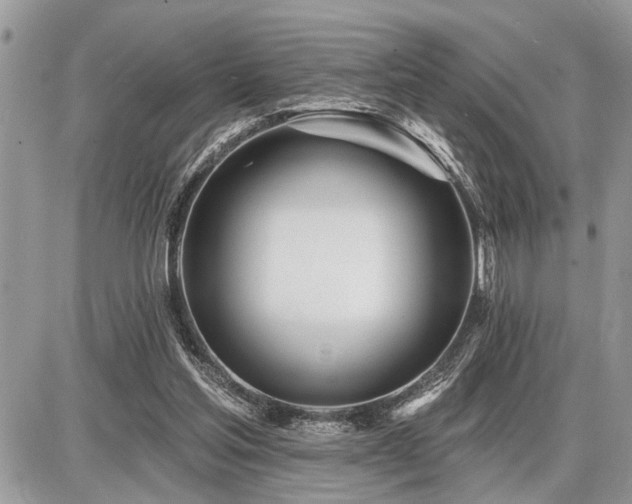 X0000086780205200704131223