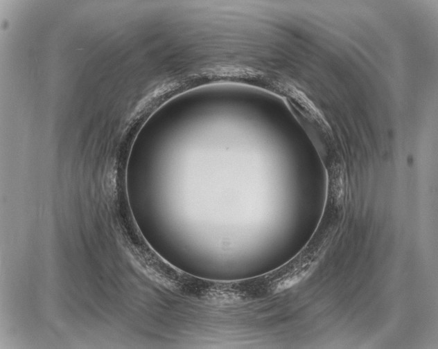 X0000086780207200704131223