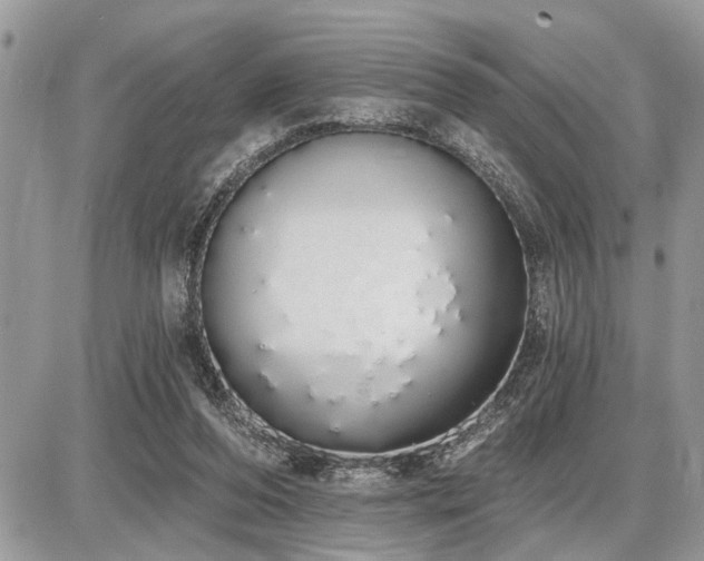 X0000086780208200704131223