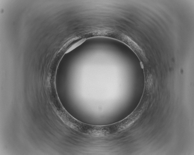 X0000086780209200704131223