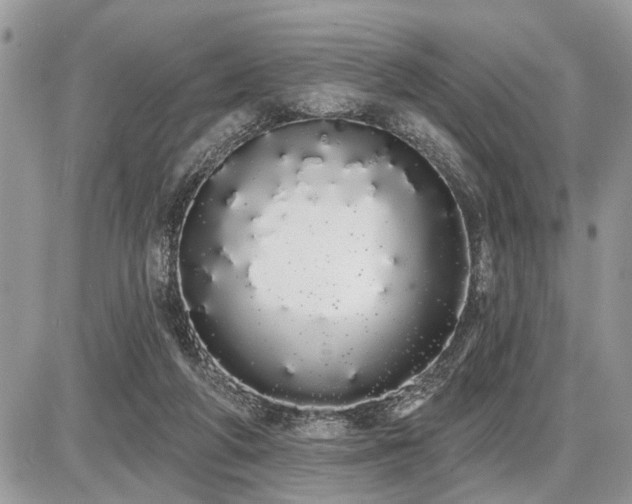 X0000086780210200704131223