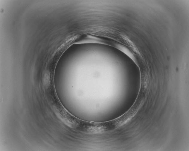 X0000086780213200704131223