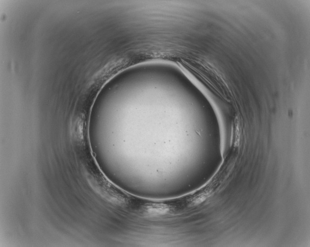 X0000086780214200704131223