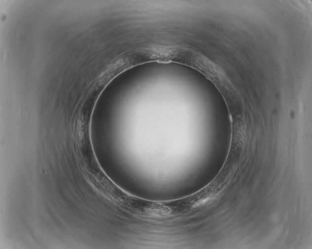 X0000086780215200704131223