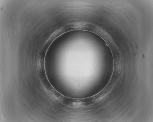 X0000086780216200704131223