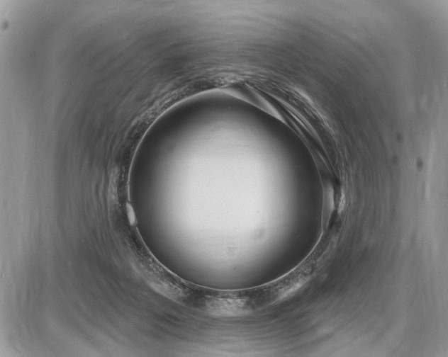 X0000086780217200704131223