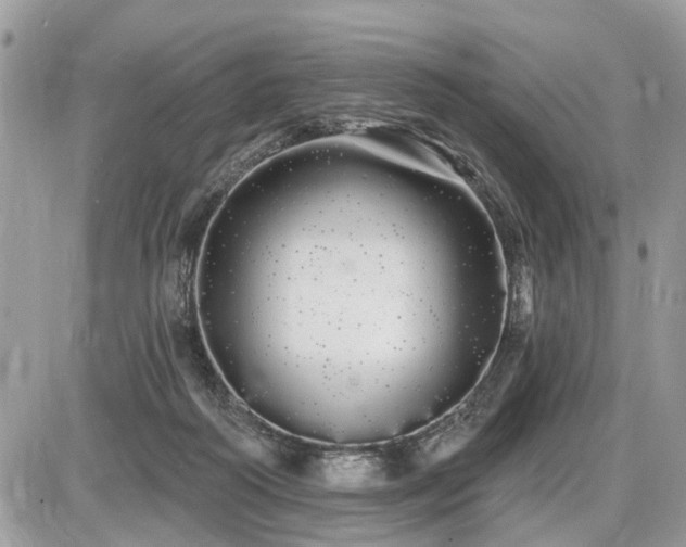 X0000086780218200704131222