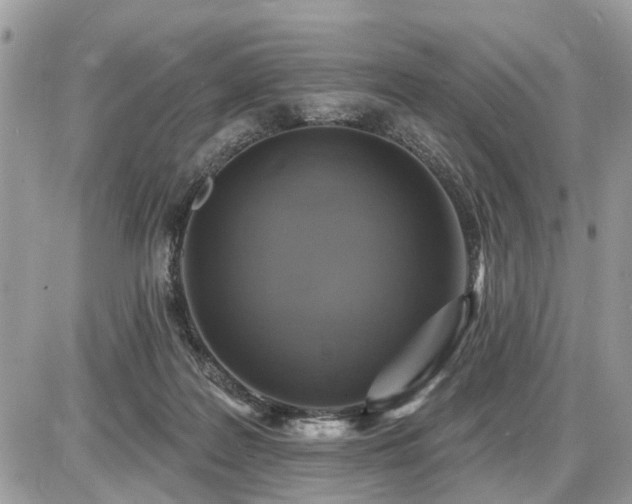 X0000086780219200704131222