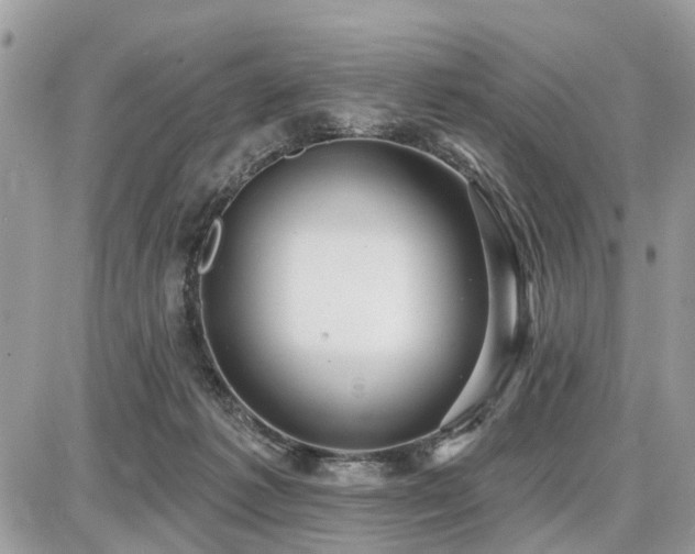 X0000086780221200704131222