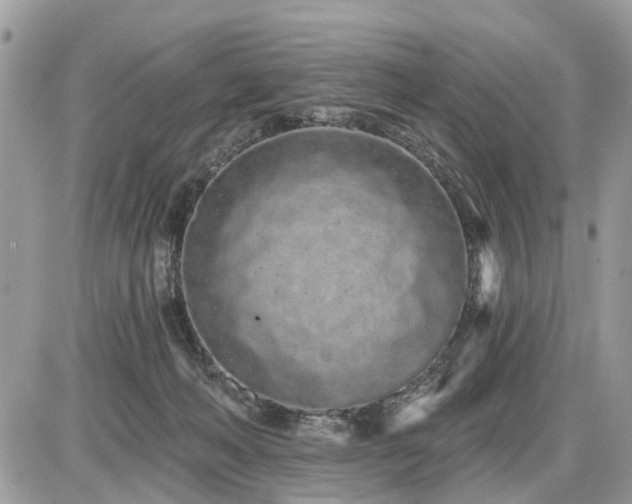 X0000086780222200704131222