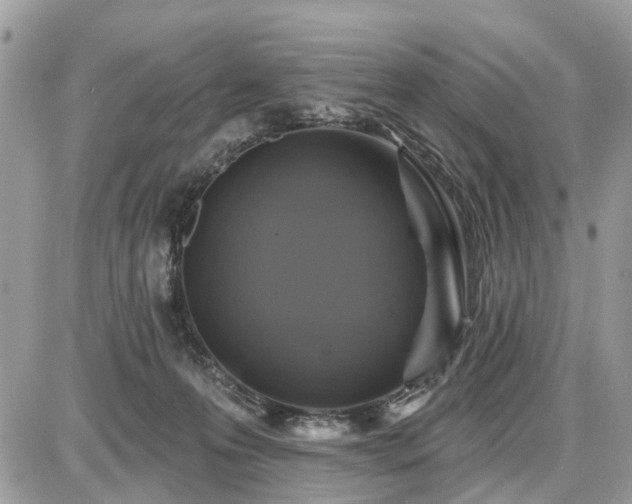 X0000086780223200704131222