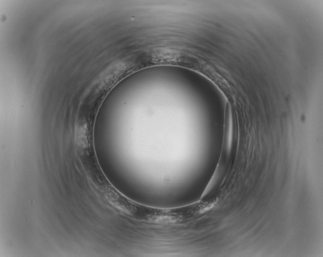 X0000086780224200704131222