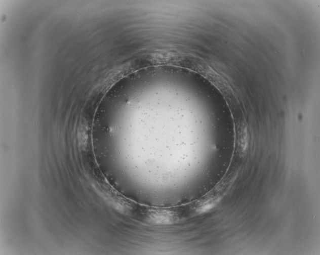 X0000086780226200704131222