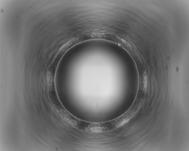 X0000086780228200704131222