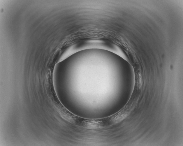 X0000086780229200704131222