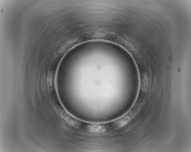 X0000086780230200704131222