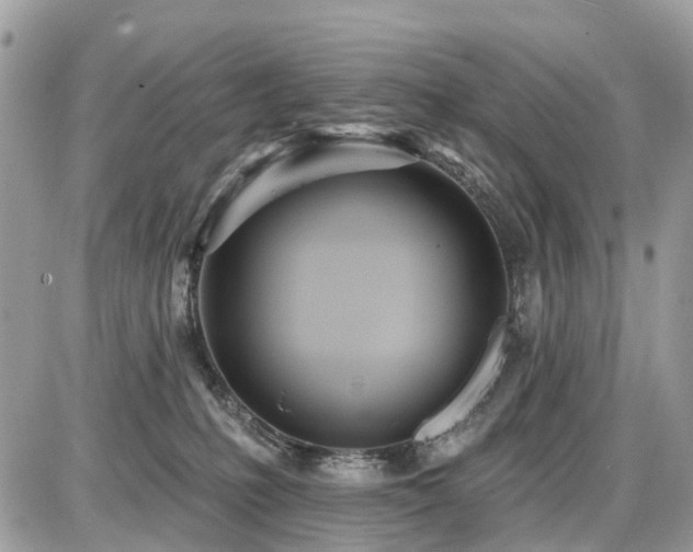 X0000086780231200704131222