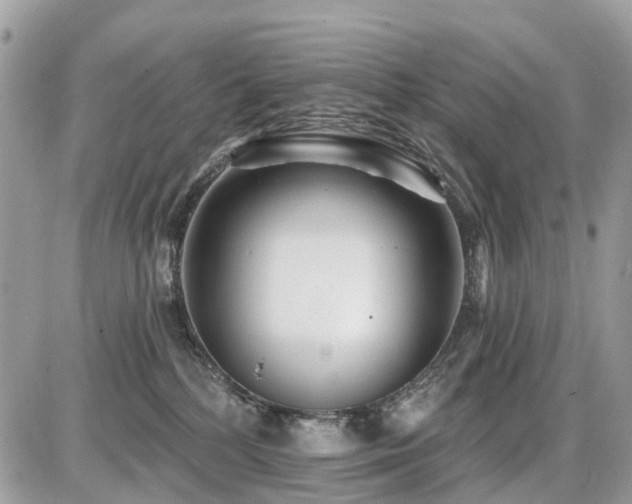 X0000086780232200704131222