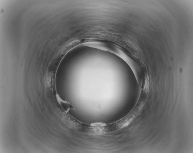 X0000086780233200704131222