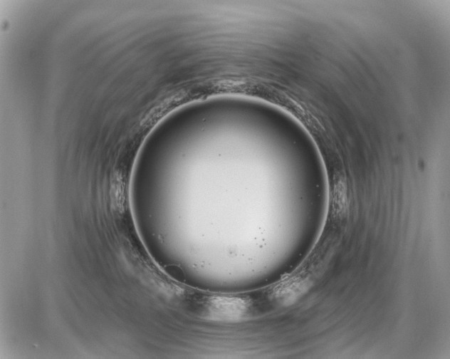 X0000086780234200704131222