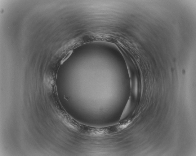 X0000086780235200704131222