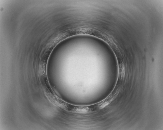 X0000086780236200704131222